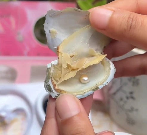 Natural Oyster Pearl Wish Necklace