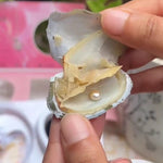 Natural Oyster Pearl Wish Necklace